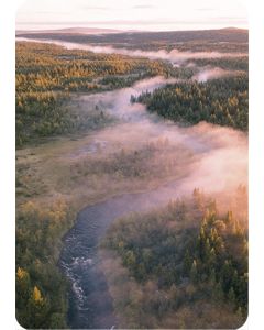 1-os kortti Tommi Hynynen