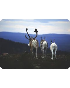 1-os kortti Tommi Hynynen