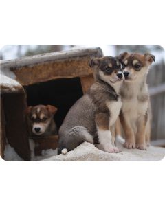 1-os kortti Tommi Hynynen