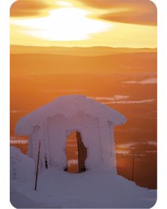 1-os kortti Tommi Hynynen