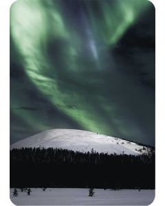 1-os kortti Tommi Hynynen