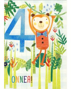 1-os vuosikortti 4v poika