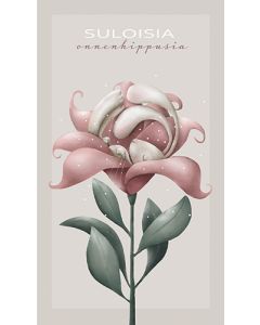 2-os kortti Mutturalla