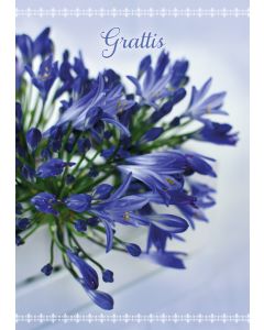 Postikortti onnittelu ruotsinkielinen