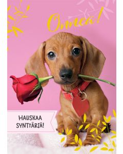 1-os syntymäpäivä