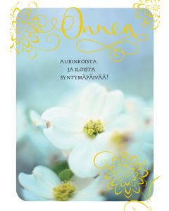 1-os syntymäpäivä