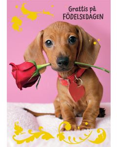 1-os syntymäpäivä R