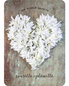 1-os kortti Ilona Pietiläinen