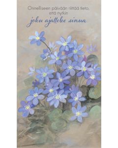 2-os kortti Raija Riihimäki