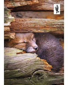 1-os kortti Suomen luonnonsuojeluliitto