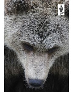 1-os kortti Suomen luonnonsuojeluliitto