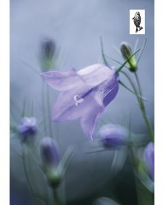 1-os kortti Suomen luonnonsuojeluliitto