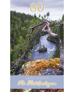 2-os vuosikortti R 80v