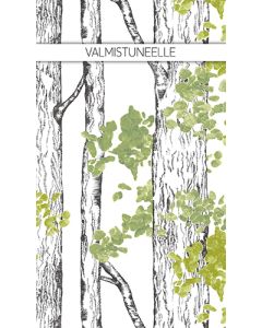 2-os valmistuminen setelitasku Vallila