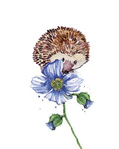 Juliste 30x40cm Siili