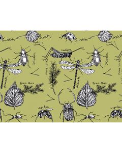 Juliste 30x40cm Ötökät