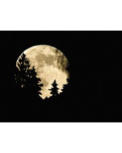 Juliste 30x40cm Täysikuu