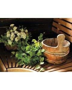 Juliste 30x40cm Saunakiulu ja -vihta