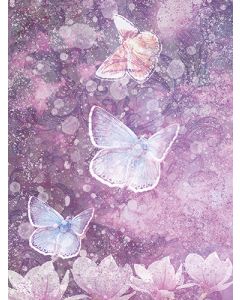 Juliste 60x80cm Perhoset