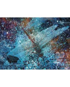 Juliste 60x80cm Sudenkorennot