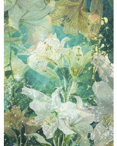 Juliste 60x80cm Summerlilies