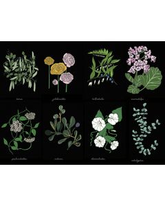 Juliste 60x80cm Kasvisto