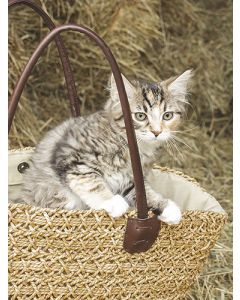 Juliste 30x40cm kissa kassissa