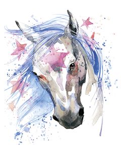 Juliste 30x40cm hevonen