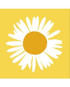 Pakettikortti Marimekko Auringonkukka