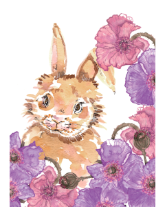 Vihko A5 Sari Pelho Pupu