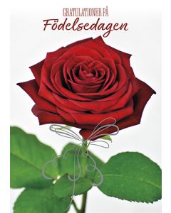 Postikortti syntymäpäivä ruotsinkielinen