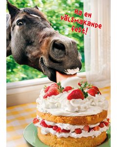 1-osainen hupikortti Avanti Ruotsinkielinen