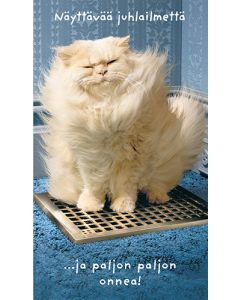 2-os hupikortti Avanti