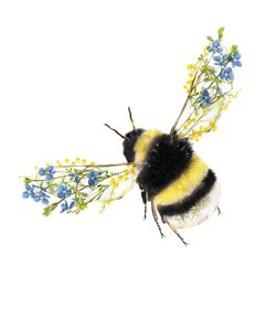 1-os kortti Lola Design