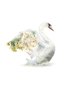 1-os kortti Lola Design