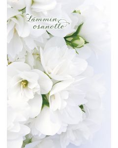 Suruadressi Muistiliitto