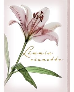 Suruadressi Roosa nauha