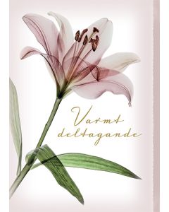 Suruadressi Roosa nauha ruotsinkielinen