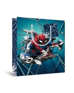 Lahjakassi S/D Spiderman