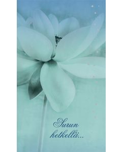 2-os osanotto Suomen Punainen Risti