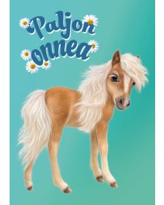 1-os lastenkortti Animal Club