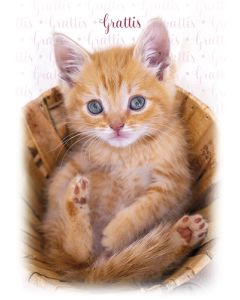 Postikortti kissa ruotsinkielinen