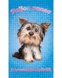 2-os lastenkortti Animal Club