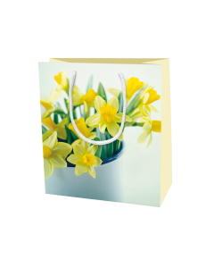 Lahjakassi M Anna-Mari West