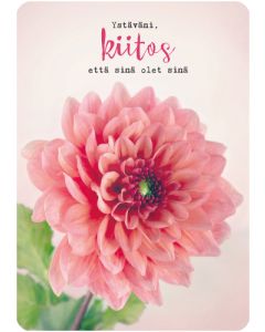 Ystävänpäiväkortti Anna-Mari West