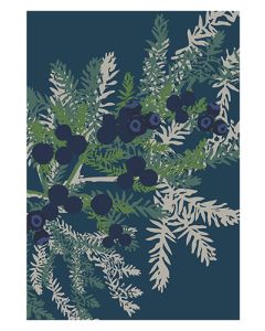 1-os kortti Merja Palin