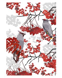 1-os kortti Merja Palin