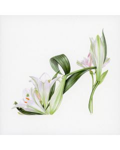 2-os neliökortti eko