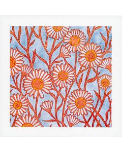 2-os neliökortti eko