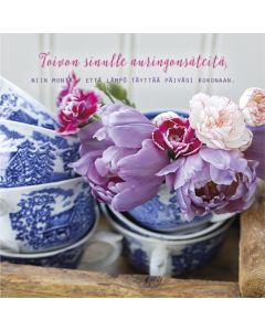 2-os neliökortti Ilona Pietiläinen